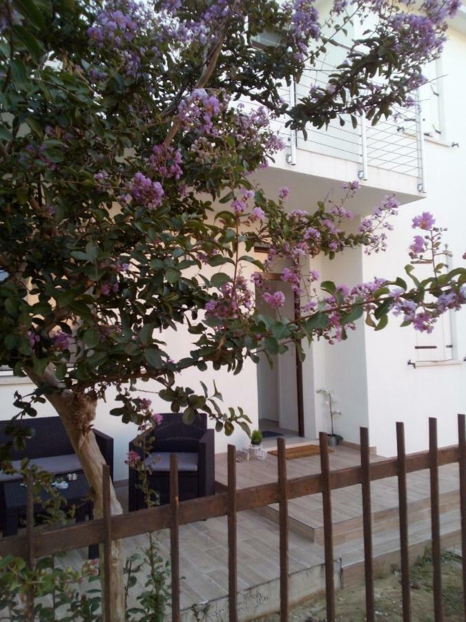 The Judas Trees Mestre Eksteriør bilde