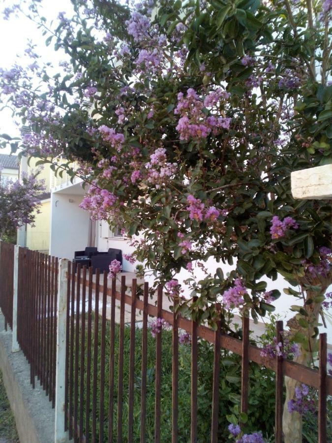 The Judas Trees Mestre Eksteriør bilde
